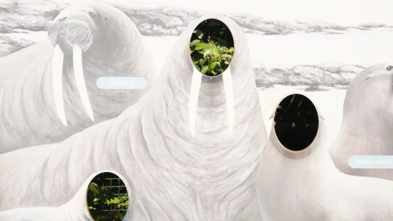 “Interno Zoo”, la mostra di Christian Pardini al Parco di Locri Epizefiri