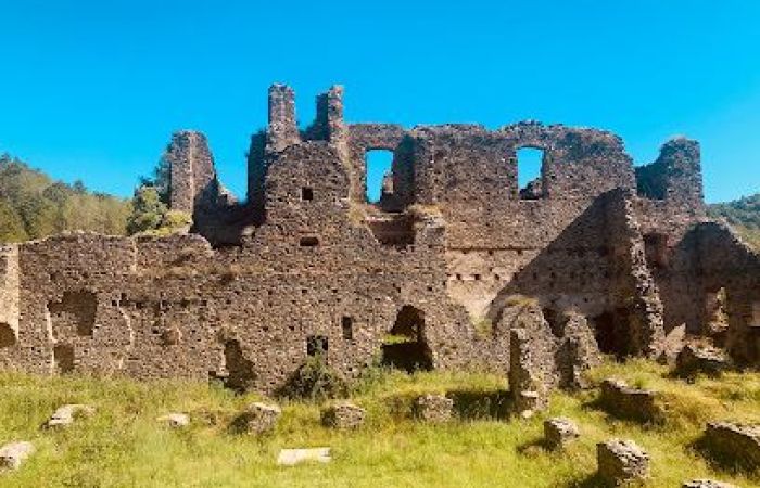 2020 05 24 bc9e7984 33f24b23 - L'Abbazia di Santa Maria di Corazzo - 1 L’Abbazia di Santa Maria di Corazzo