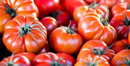 PomodoroBelmonte 1200x800 33d0bfe8 - Meraviglie di Calabria - 26