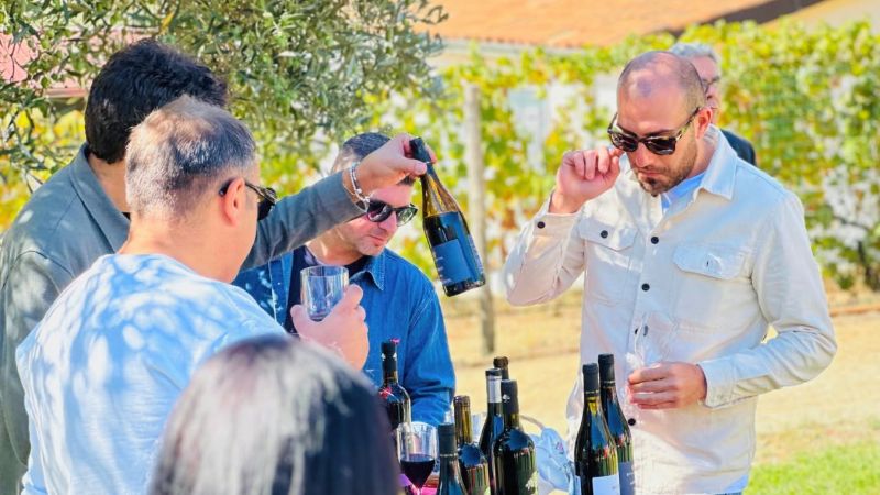 Sagra dell’uva e del vino di Donnici, il programma della tre giorni di anteprima