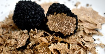 tartufo 2 3411e3bb - Meraviglie di Calabria - 7