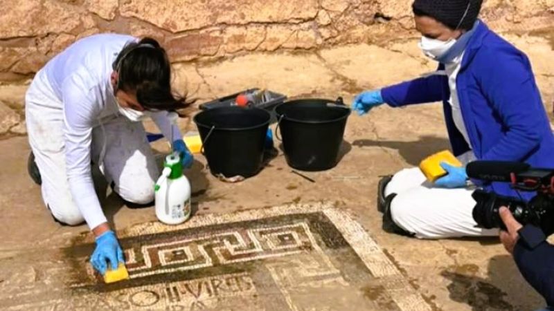 Giornate FAI, a Capo Colonna lo svelamento eccezionale del Mosaico dei delfini