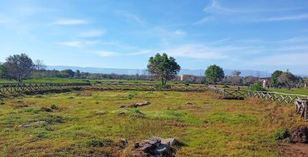 Parco archeologico medma 38883222 - Meraviglie di Calabria - 21