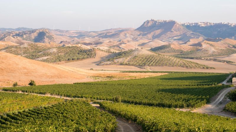 Intitolato a Nicodemo Librandi il Premio istituito da SudHeritage