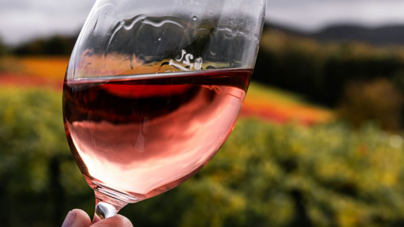 Il Concours Mondial de Bruxelles torna in Calabria, ora tocca ai rosati