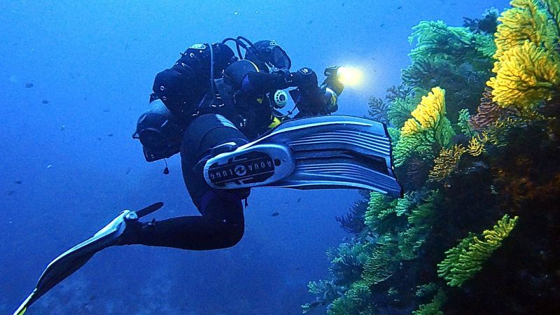 Turismo subacqueo in Calabria, tra i fondali più ricchi del Mediterraneo