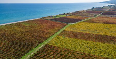 Vigneti Ciro mare 3af7cccc - Meraviglie di Calabria - 1