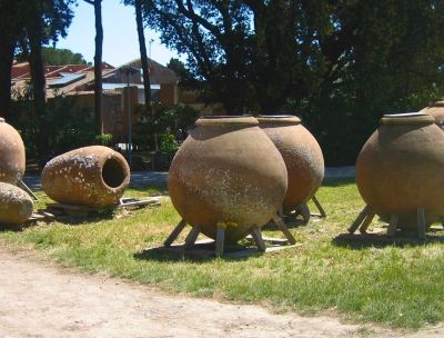 Tra le ceneri di un bosco di Girifalco un frammento di “dolium romano”