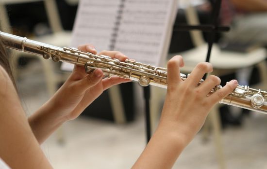Musica flauto concerto cover 3b801f29 - Meraviglie di Calabria - 27
