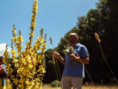 Tutto il patrimonio botanico del Parco in “Pollino Cocktail Camp”