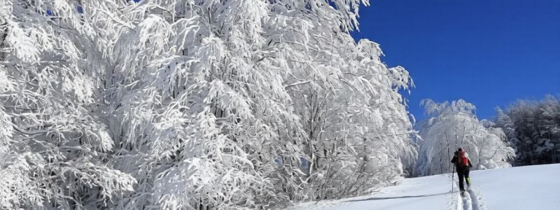 Sole sulla Sila, il weekend sulla neve con le ciaspole o a cavallo