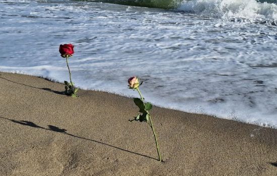 Tragedia Cutro Nyumba 3ca65548 - Meraviglie di Calabria - 11