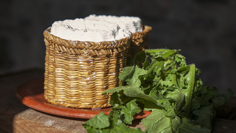 formaggio Ricotta cicoria Cardeto 3c824718 - L'arte casearia calabrese al Cheese di Bra con Slow Food Calabria - 1 L’arte casearia calabrese al Cheese di Bra con Slow Food Calabria
