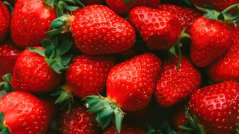 Feste di primavera, Acconìa di Curinga celebra le sue super fragole