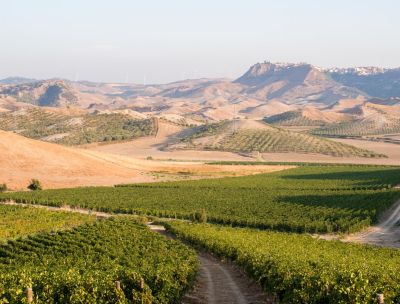 librandi critone ph luca savettiere 4 1 1 3cbd1a6a - Home - 37 Intitolato a Nicodemo Librandi il Premio istituito da SudHeritage