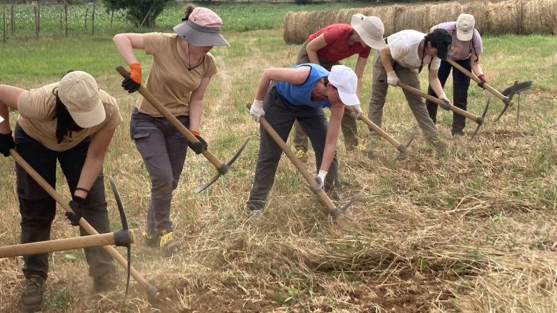 448451269 122189515010020846 8197919877831916944 n 3d136df6 - Laino Borgo, prosegue la campagna di scavi archeologici: nuova luce sulla storia calabrese - 1 Laino Borgo, prosegue la campagna di scavi archeologici: nuova luce sulla storia calabrese