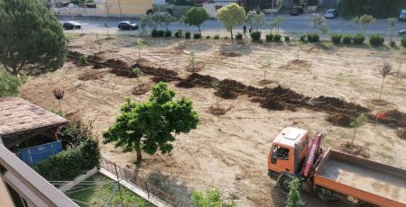 Bosco Urbano Piantumazione 04 23 II