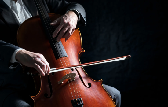 Violoncello mano 1 3d478357 - Meraviglie di Calabria - 5