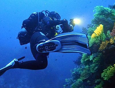 Turismo subacqueo in Calabria, tra i fondali più ricchi del Mediterraneo