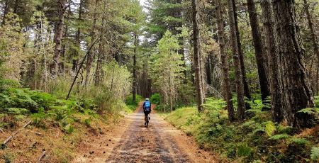 ciclovia calabria Aspromonte %C2%A9paolociaberta 3ed7825e - Meraviglie di Calabria - 45