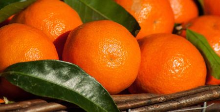 clementine 3ed045a7 - Meraviglie di Calabria - 16