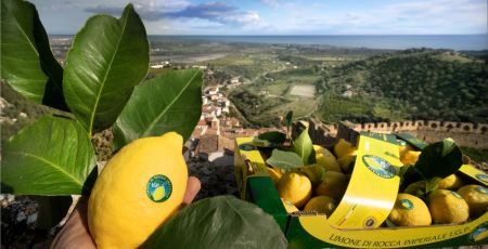 332089895 508525828131979 8834356726964896864 n 3f7de2fd - Meraviglie di Calabria - 29