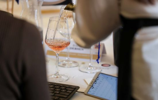 Concours Mondial de Bruxelles Ciro 1 3f5b3884 - Meraviglie di Calabria - 5