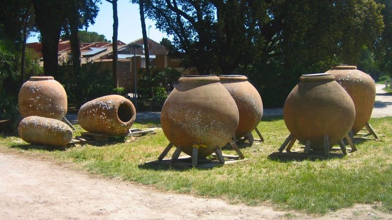 Tra le ceneri di un bosco di Girifalco un frammento di “dolium romano”