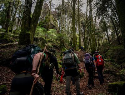 Guide Parco Calabria, oggi a Gambarie il quinto incontro annuale