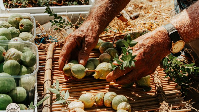 cibo fichi Taste Experience Calabria 1 3f9daeca - A Cosenza il Taste Experience Calabria celebra gusto e territorio - 1 A Cosenza il Taste Experience Calabria celebra gusto e territorio