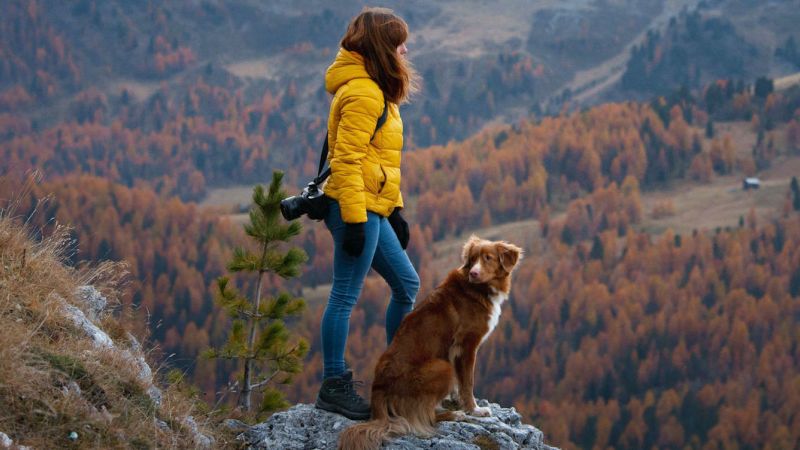 dog trekking wide1 3f01f703 - Alla scoperta di Cleto in compagnia degli amici a quattro zampe - 1 Alla scoperta di Cleto in compagnia degli amici a quattro zampe