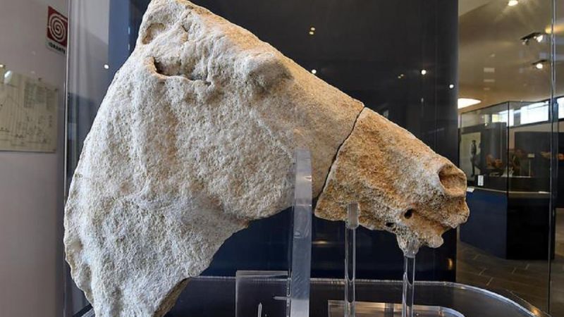 testa di cavallo tempio di hera 3fc8f6cf - Tutti a lezione di archeologia e storia a Crotone - 1 Tutti a lezione di archeologia e storia a Crotone