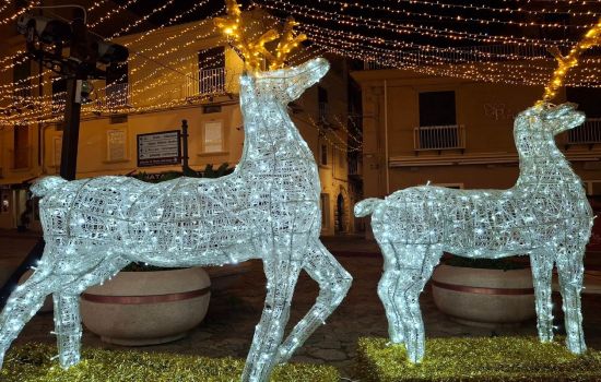 tropea natale 2025 10 B 409c15e7 - Meraviglie di Calabria - 1