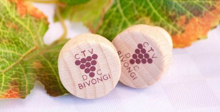 Consorzio vini Bivongi Doc cover 2 41c97977 - Meraviglie di Calabria - 17
