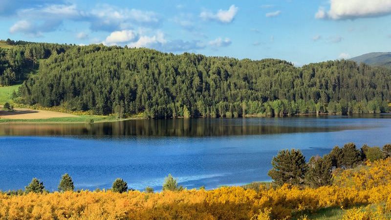 copertinaparco nazionale sila 3 41554cf3 - A scuola nel Parco Nazionale della Sila, tra immersione e tutela del patrimonio ambientale - 1 A scuola nel Parco Nazionale della Sila, tra immersione e tutela del patrimonio ambientale