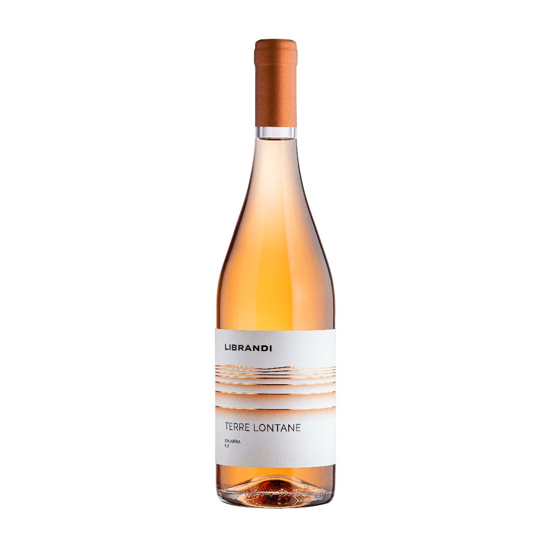 Acquista online Vino Rosato IGT Terre Lontane (Confezione da 6 pz) – Azienda vinicola Librandi