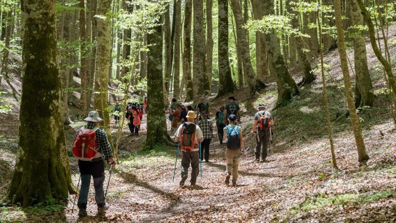 4 e1713187762805 43a65c36 - "Via dei Sediari", il nuovo sentiero alla scoperta delle radici di Serrastretta - 1 “Via dei Sediari”, il nuovo sentiero alla scoperta delle radici di Serrastretta