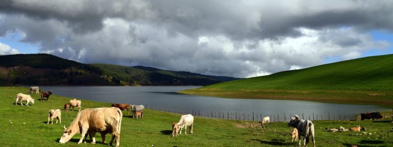 Turismo esperienziale, nasce “Sila Felix”