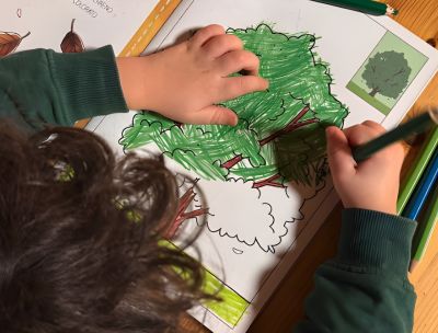 Catasta e Coccole Books, le storie del Pollino nelle mani dei bambini