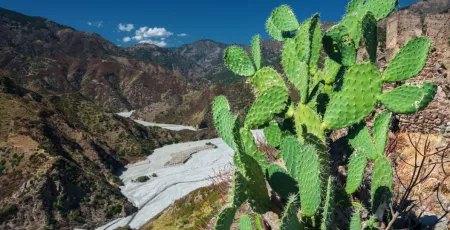 Aspromonte 44c84901 - Meraviglie di Calabria - 37