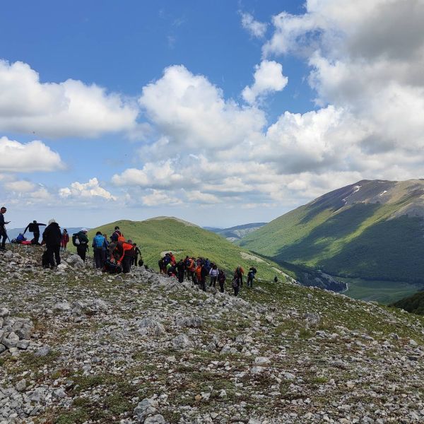 Alla scoperta della faggeta vetusta di Coppola di Paola nel Parco Nazionale del Pollino – FOTO