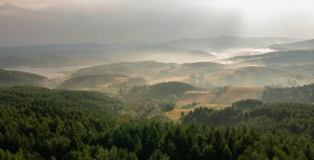 Sila Ph francesco liotti scaled 46e233a8 - Meraviglie di Calabria - 36