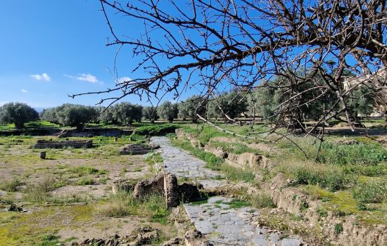 20240128 104020 scaled 47c08e5b - Meraviglie di Calabria - 1