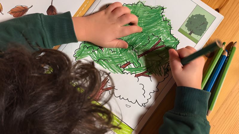 Catasta e Coccole Books, le storie del Pollino nelle mani dei bambini