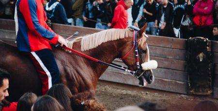 PalioCasteldelPiano2017 BeatriceMancini 68 1200x600 1 4848ee7a - Meraviglie di Calabria - 1