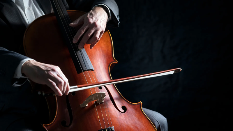 Violoncello mano 1 4865f035 - Il violoncello di Manuel Pecora suona per il gran finale di "Sguardi a Sud" - 1 Il violoncello di Manuel Pecora suona per il gran finale di “Sguardi a Sud”