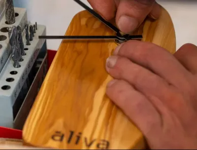 Aliva, in Calabria gli scarti di potatura d’ulivi rivivono