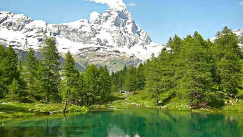 Parco Nazionale della Sila 49c762b6 - Crescere secondo natura: la buona scuola d'esperienza è nel Parco Nazionale della Sila - 1 Crescere secondo natura: la buona scuola d’esperienza è nel Parco Nazionale della Sila