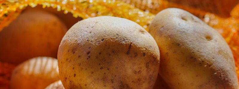 Festa per la regina della Sila, a Lagarò torna la Sagra della patata