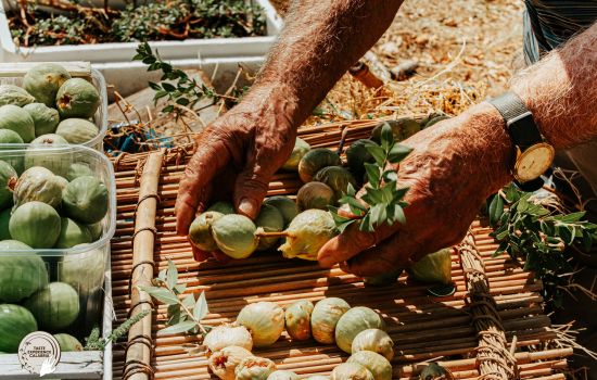 cibo fichi Taste Experience Calabria 1 4abfdda8 - Meraviglie di Calabria - 1